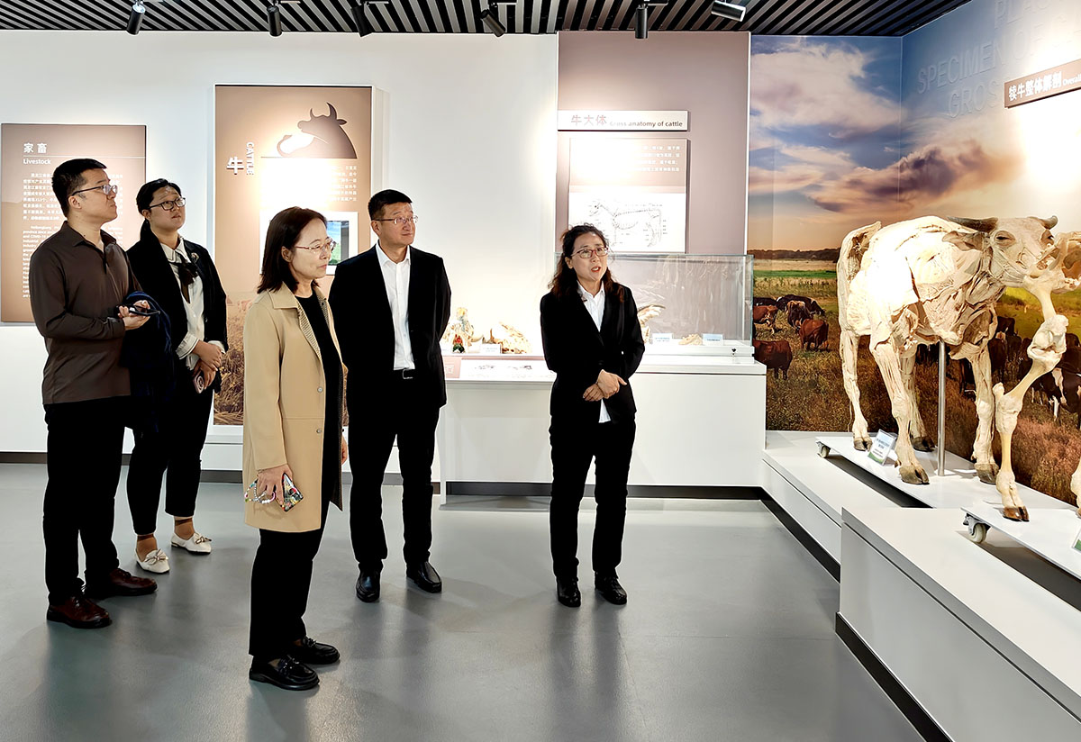 微信图片_202309262221311.jpg 微信图片_202309262221311.jpg