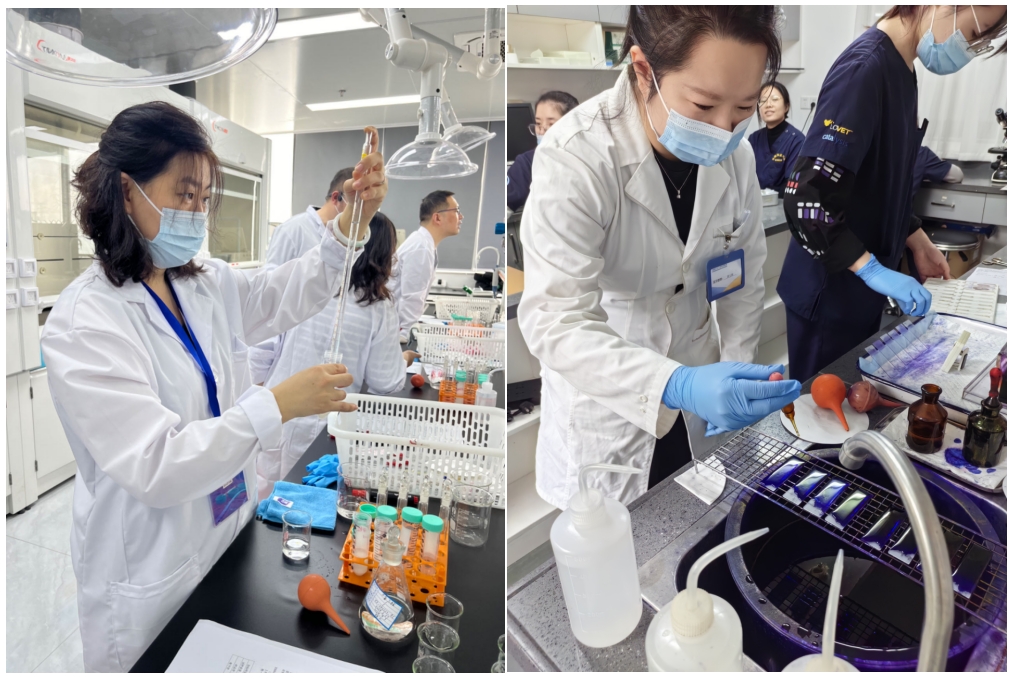 微信截图_20240728144318.png 微信截图_20240728144318.png