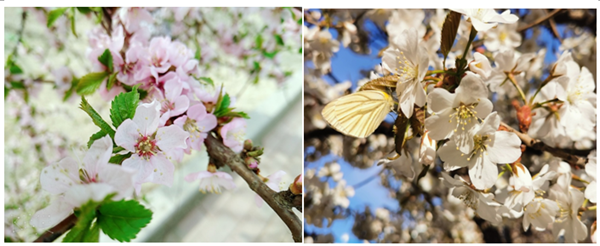 æé¢å¼å±ç¬¬å
å±â书é¦ä¸å½â¢é¾æ±è¯»ä¹¦æâæ´»å¨