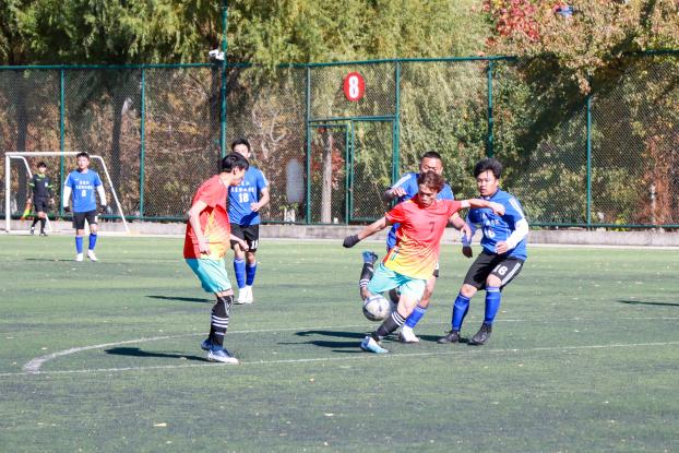 图片17.png 图片17.png