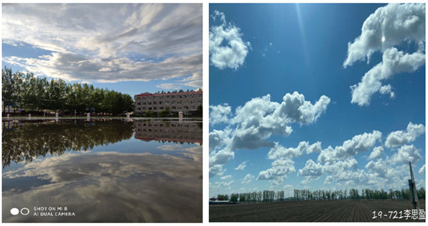 æé¢å¼å±ç¬¬å
å±â书é¦ä¸å½â¢é¾æ±è¯»ä¹¦æâæ´»å¨