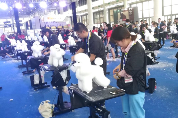 我院动物科技分院学生连获全国职业技能大赛两项一等奖