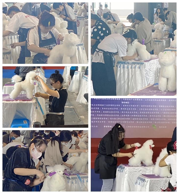 比赛现场.jpg 比赛现场.jpg