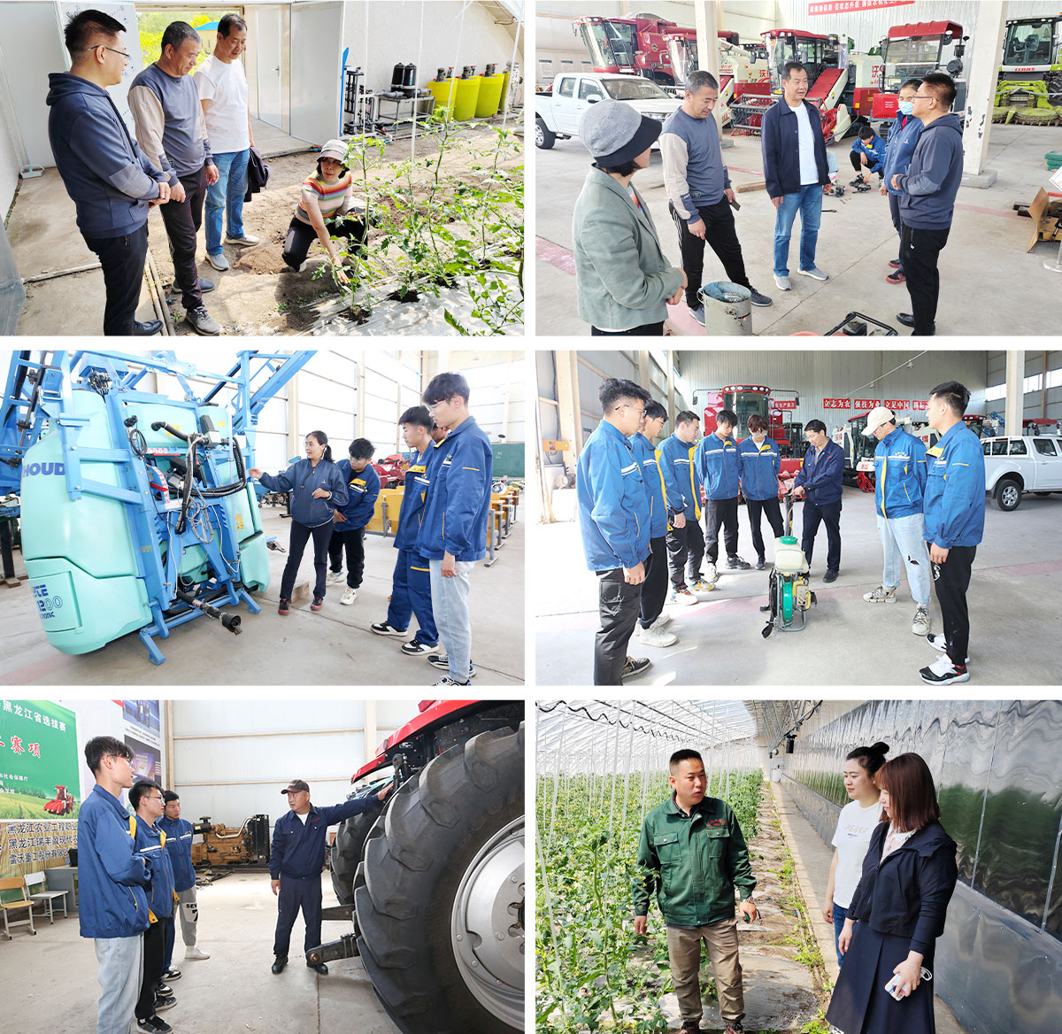 BL1A9233.jpg BL1A9233.jpg