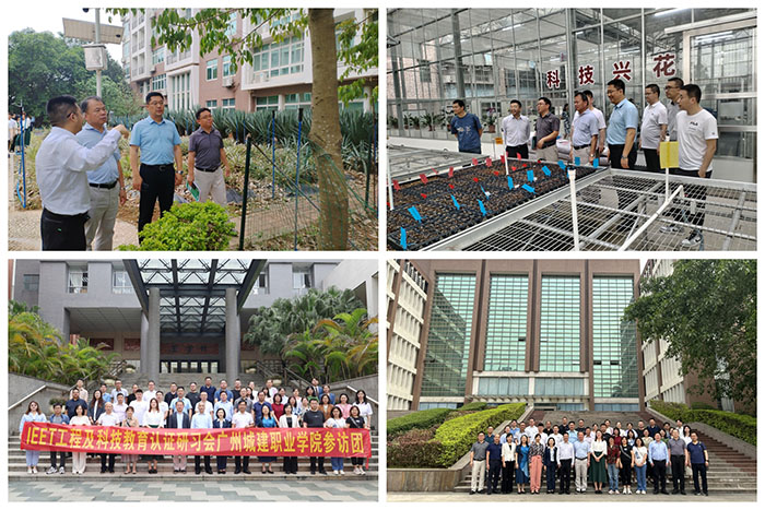 WechatIMG37.jpg WechatIMG37.jpg