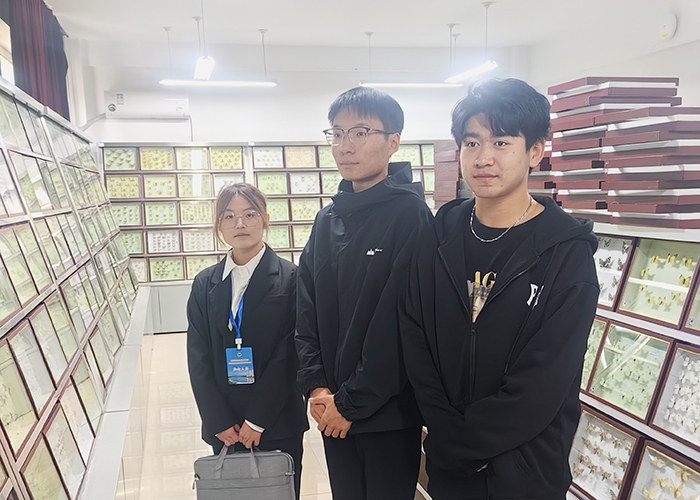 李馨蕊、郑诺、董文龙参观齐齐哈尔大学昆虫标本展览室.jpg 李馨蕊、郑诺、董文龙参观齐齐哈尔大学昆虫标本展览室.jpg