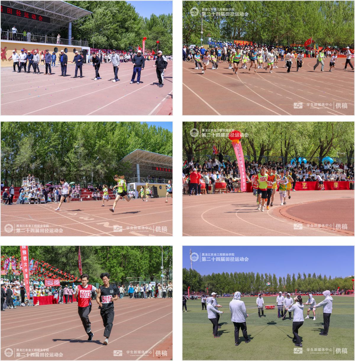 图片分享拼图3.jpg 图片分享拼图3.jpg