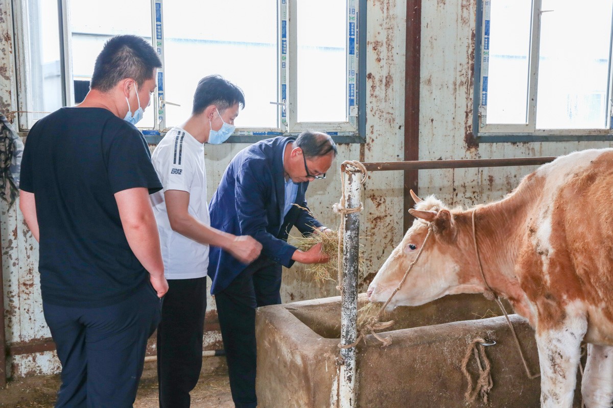 BL1A5681.jpg BL1A5681.jpg