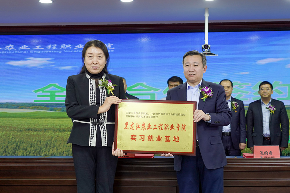 _DSC6195.JPG _DSC6195.JPG