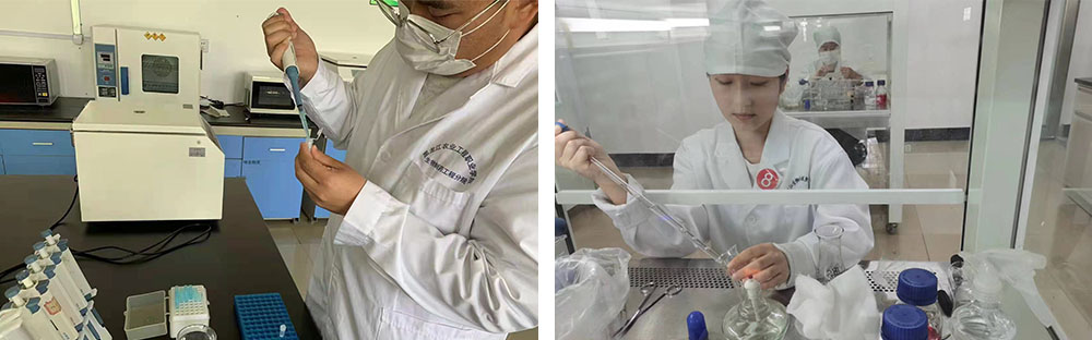 二组图 拷贝.jpg