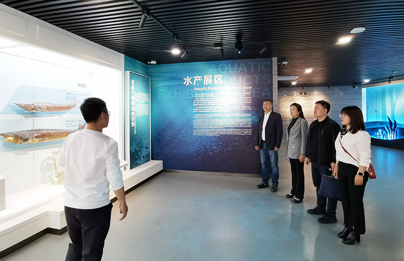 来我院调研大学生就业创业工作.jpg 来我院调研大学生就业创业工作.jpg