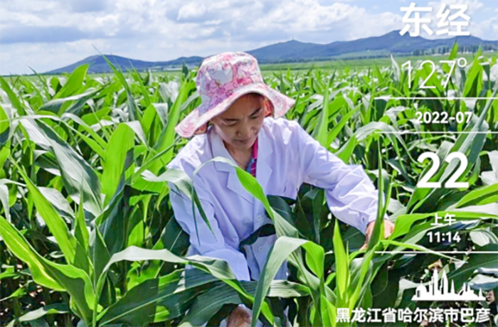 8月29日科技特派员胡志凤老师新闻358.png 8月29日科技特派员胡志凤老师新闻358.png