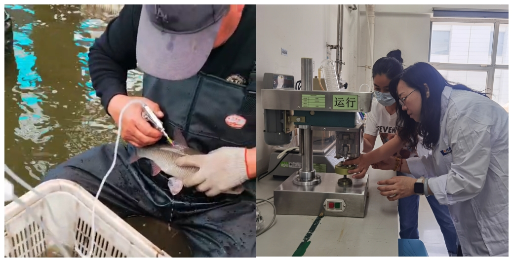 微信截图_20240728144728.png 微信截图_20240728144728.png