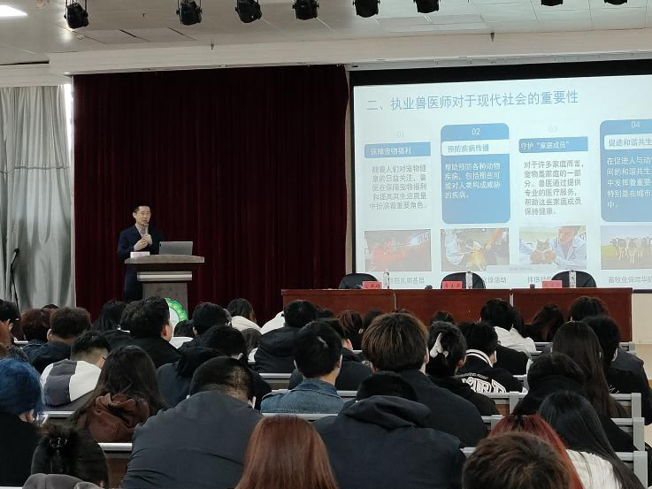 4 教师代表发言.png